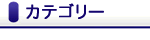 カテゴリー