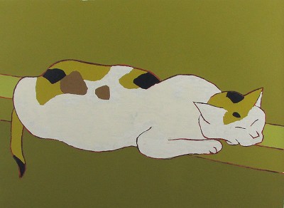 猫