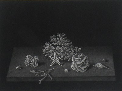 砂漠の薔薇と海の星