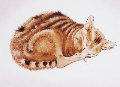 眠る猫