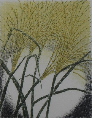 芒
