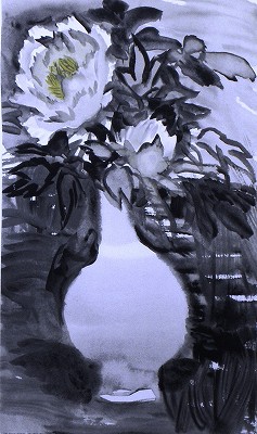 白牡丹