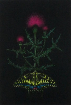 薊