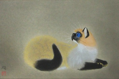若い猫