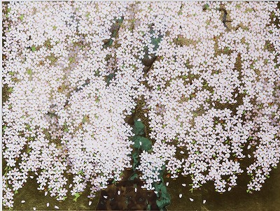 上山市の権現桜
