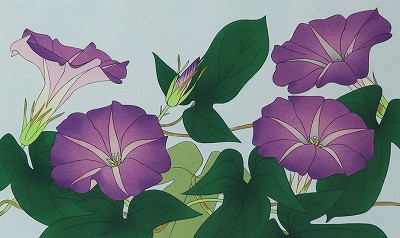 朝顔