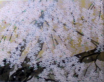 瑠璃寺の枝垂桜