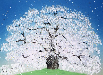 醍醐桜
