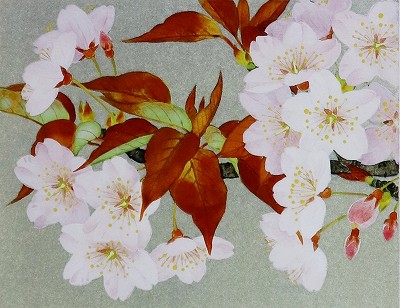 山桜　-四季より-