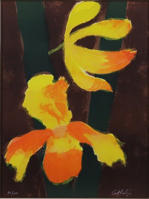 オーキッド 花の知性・挿画本（サイン有）
