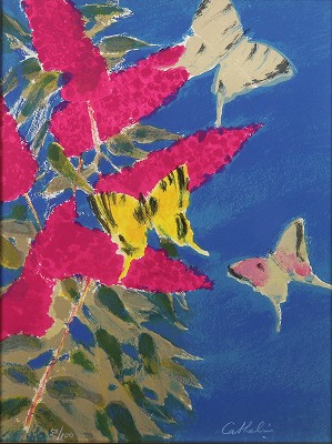 フジウツギと蝶々 花の知性・挿画本（サイン有）