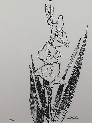 ポトス 花の知性・挿画本（サイン有）