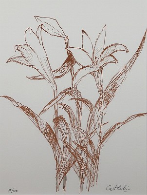 小さなオレンジ色のユリ 花の知性・挿画本（サイン有）