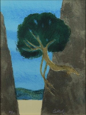 渓谷の月桂樹 花の知性・挿画本（サイン有）