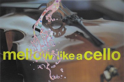 CELLO+CALLULAR SHOWER
