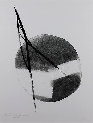 VOICE OF THE MOON D