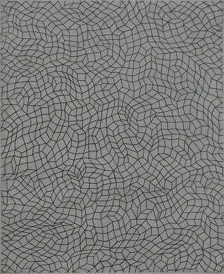 Infinity Nets（無限の網）