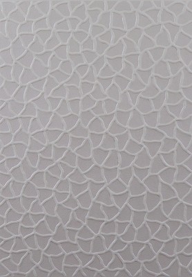 Infinity Nets(TW)