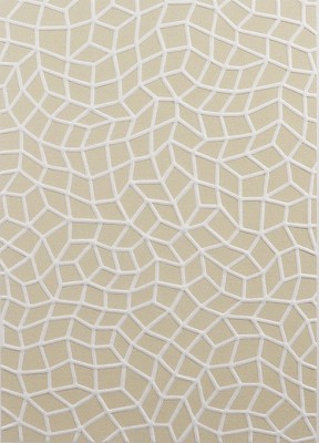 Infinity Nets（HW） 無限の網