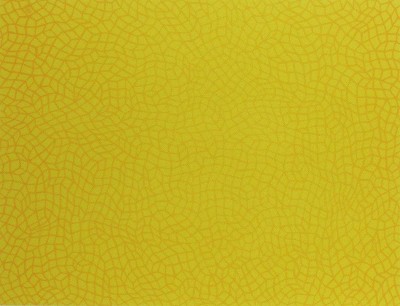 Infinity Nets