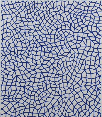 INFINITY NETS