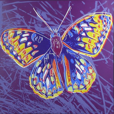 SANFRANCISCO　SILVERSPOT：ENDANGERED SPECIES