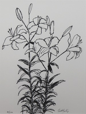 ユリ 花の知性・挿画本