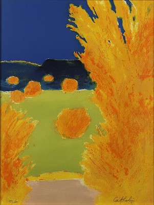 エニシダ 花の知性・挿画本