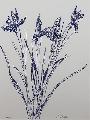 アイリス 花の知性・挿画本