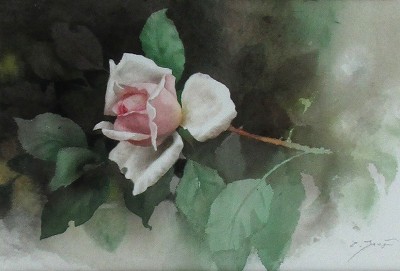 薔薇