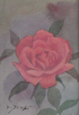 薔薇