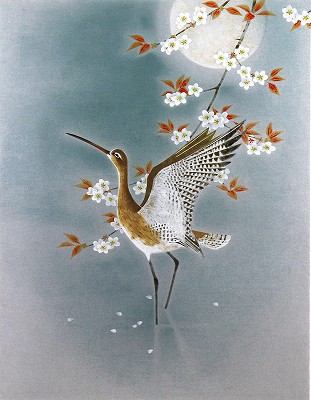 月汀