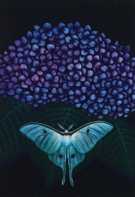 紫陽花