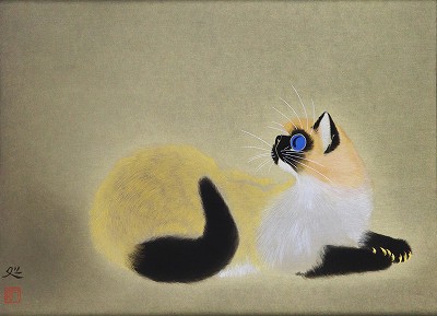 若い猫