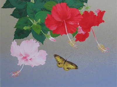 佛桑花