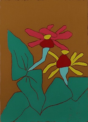 百日草