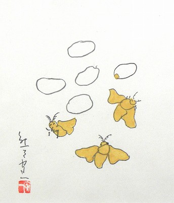 蛾