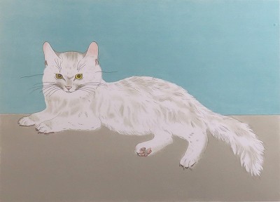 白い猫