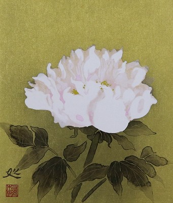 白牡丹