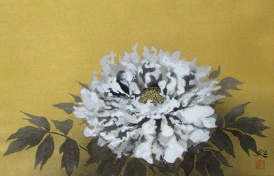 白牡丹