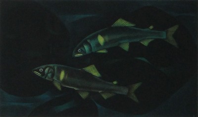 映