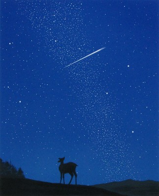星のふる夜に