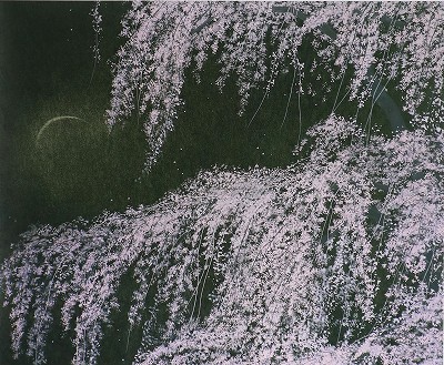 桜満開