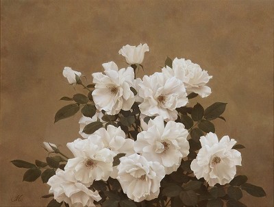 白薔薇