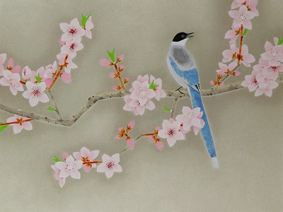 尾長