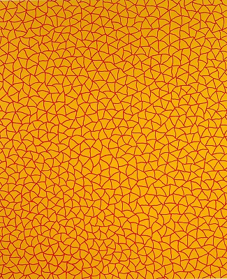 Infinity Nets（YOR)