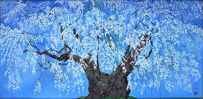 坪井の枝垂桜(2)