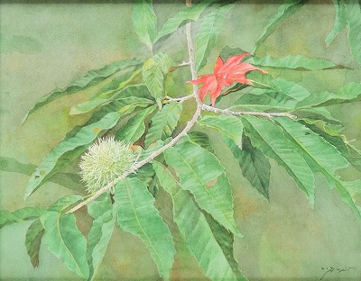 野