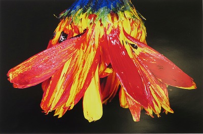 荒木経惟「色情花 ～Painting Flower～ F」