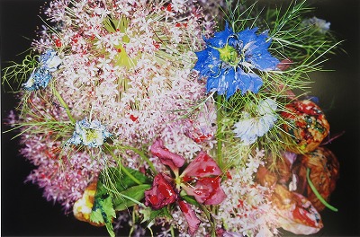 荒木経惟「色情花 ～Painting Flower～ G」